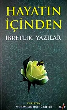Hayatın İçinden İbretlik Yazılar kitabının kapağı